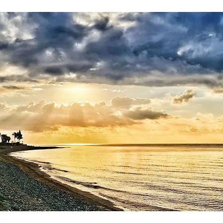 Atico 3 Ron Manuel Centro *