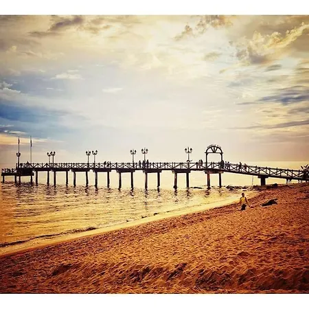 Atico 3 Ron Manuel Centro