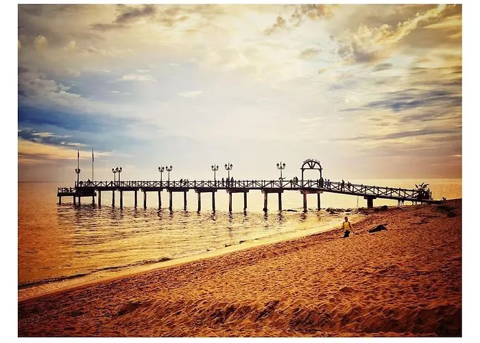 Atico 3 Ron Manuel Centro